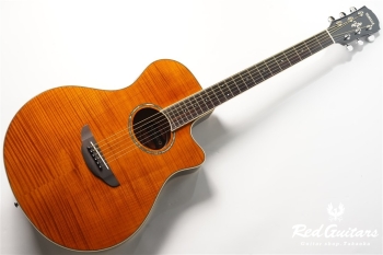 APX-600FM - Amber